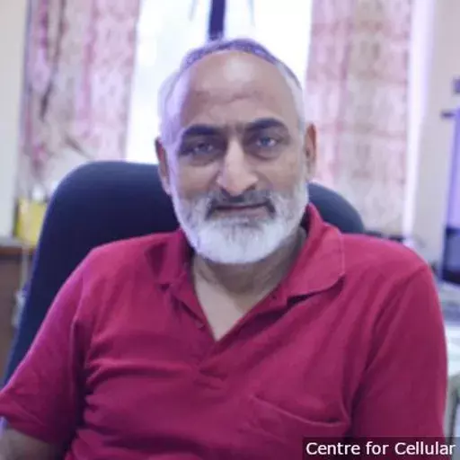 ‘இந்தியாவில் சார்ஸ் கோவ்-2 போல் அசாதாரணமானது எதுவுமில்லை, இது அதிக அல்லது குறைவாக வைரலாகிறது’