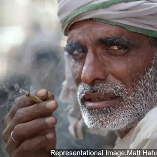 புகையிலையை கைவிட கோவிட்19  முடக்கம் சிறந்த தருணம் புகையிலையை கைவிட கோவிட்19  முடக்கம் சிறந்த தருணம்