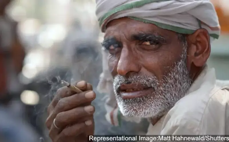 புகையிலையை கைவிட கோவிட்19 முடக்கம் சிறந்த தருணம் புகையிலையை கைவிட கோவிட்19 முடக்கம் சிறந்த தருணம்
